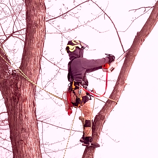 Wycinka sekcyjna w trudno dostępnych miejscach